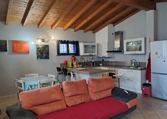 Ross * 费伦佐拉亚达